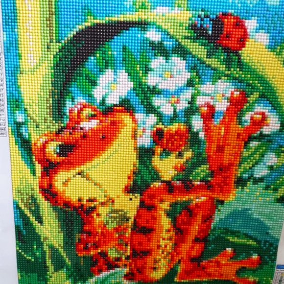 Frog relaxing - Picture 1 of 1